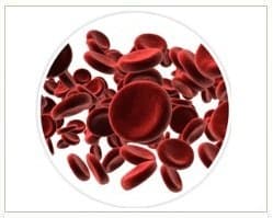 Slider image (3) Intellicell Biosciences, Inc